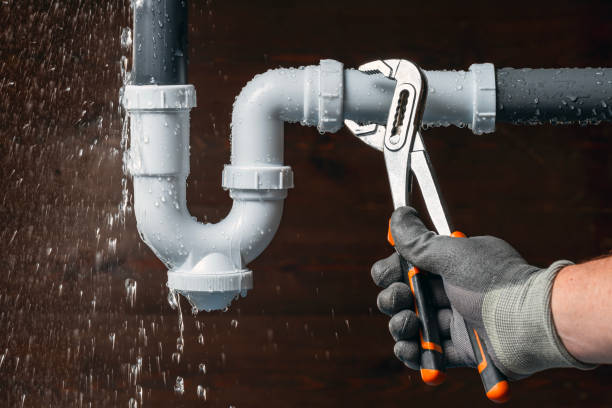 Professional Plumbing technician working in Gaines, MI